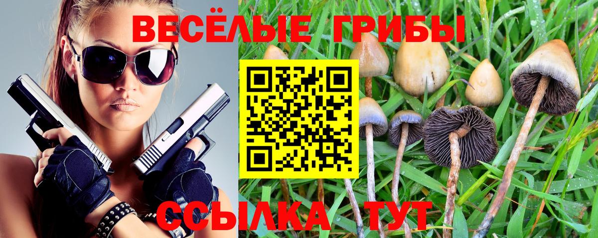 Псилоцибиновые грибы Psilocybe  Вход с VPN  Галлюциногенные грибы мицелий  Губаха 